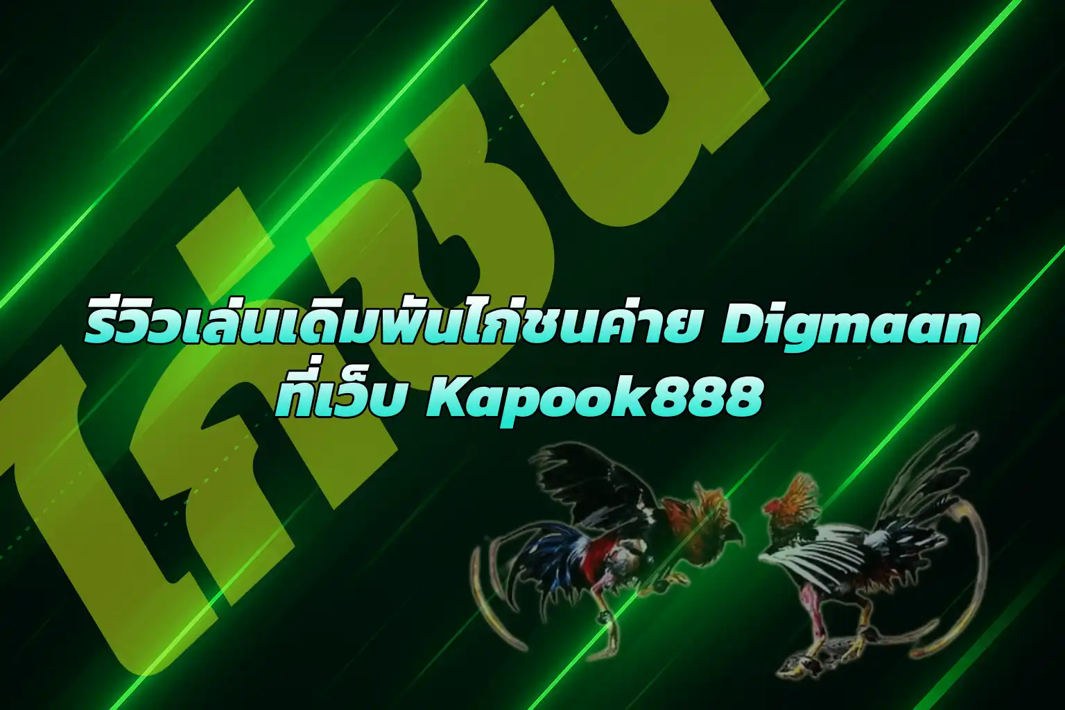 เล่นเดิมพันไก่ชนค่าย Digmaan เว็บ Kapook888