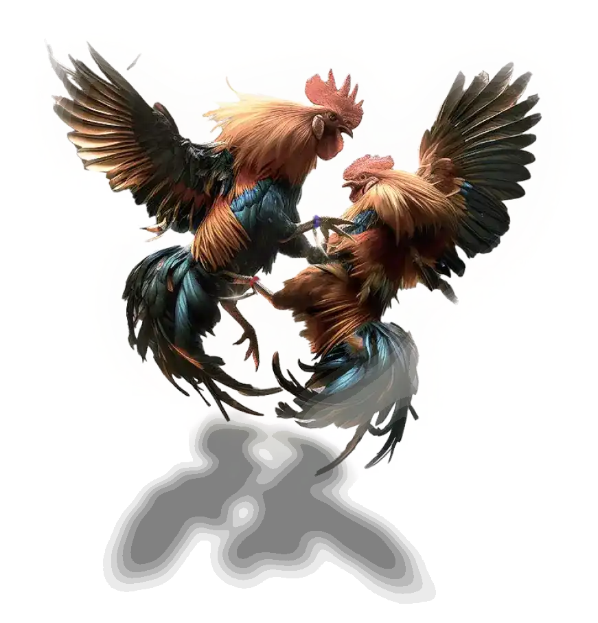 เลือกแทงแดงกับน้ำเงิน